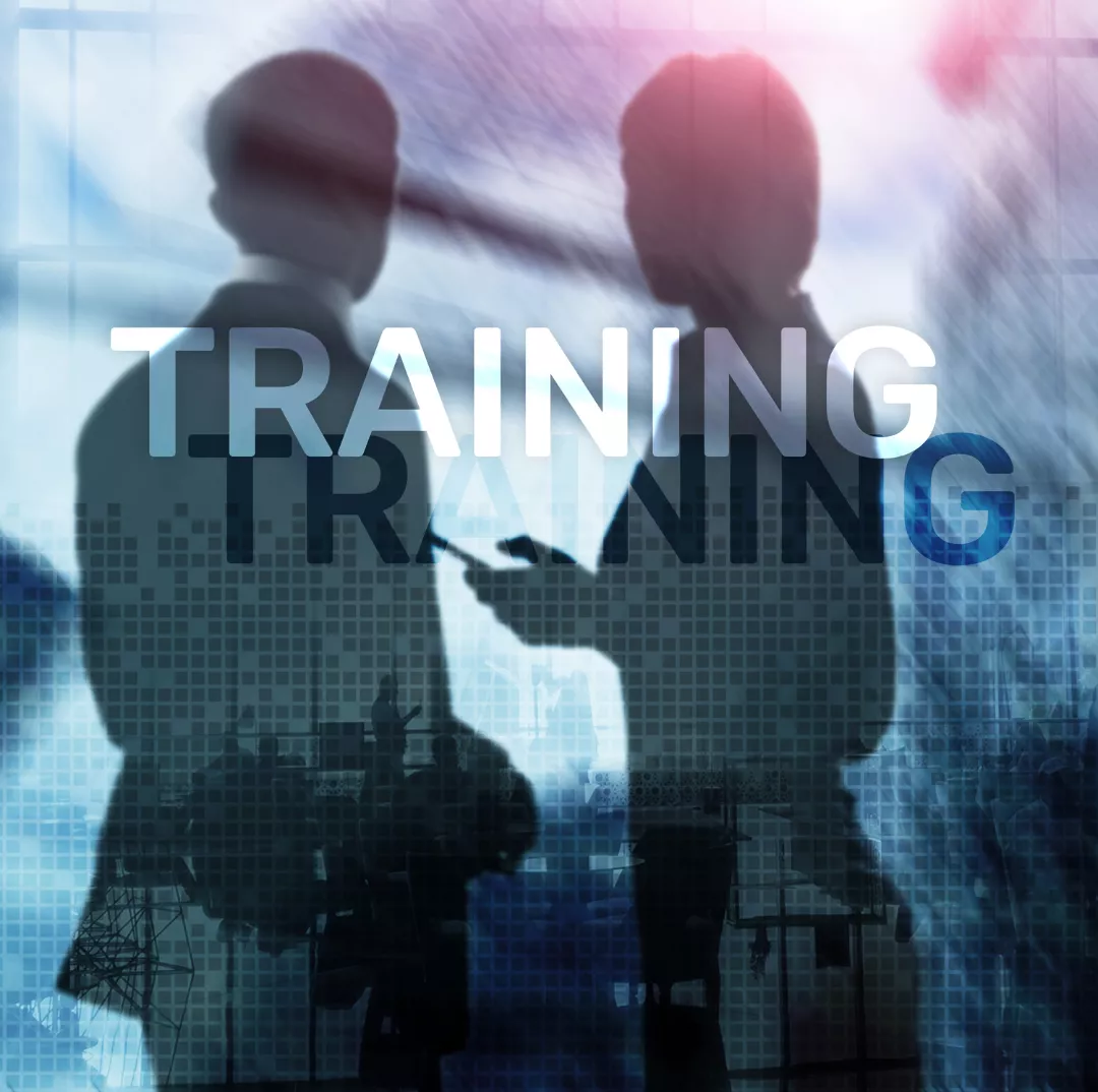Treinamento e Capacitação